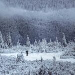 Karkonosze - foto Marek Piwnicki