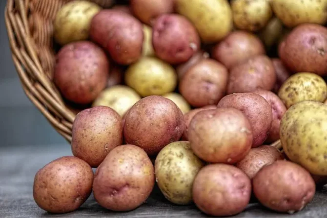 Kolorowe ziemniaki czyli „superfoods” po polsku